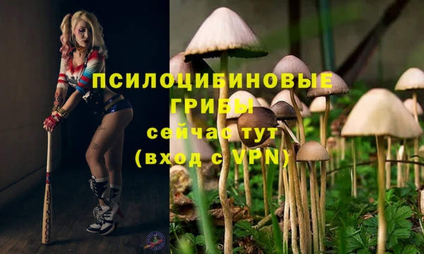 трава Протвино