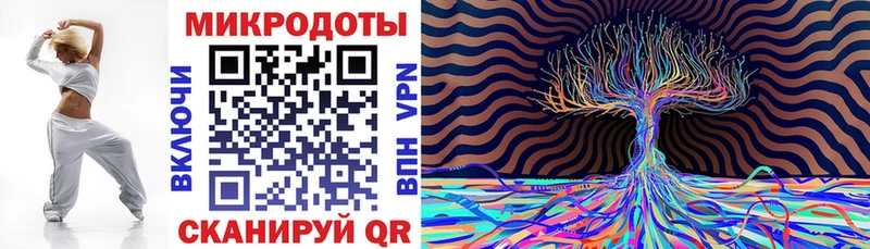 Псилоцибиновые грибы мухоморы Северобайкальск